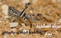 شركة مكافحة الجنادب بالرياض