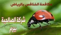 شركة مكافحة الخنافس بالرياض