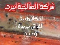 شركة مكافحة برص ببريدة