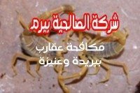 شركة مكافحة عقارب ببريدة