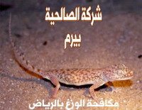 شركة مكافحة الوزغ بالرياض