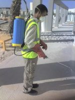 شركات مكافحة حشرات بحائل