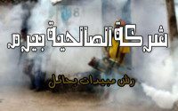 شركة رش مبيدات بحائل
