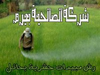 شركة رش مبيدات حشرية بحائل