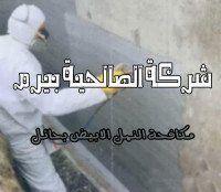 شركة مكافحة النمل الابيض بحائل
