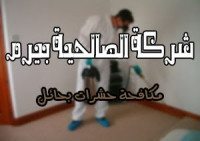 شركة مكافحة حشرات بحائل