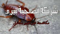 شركة مكافحة صراصير بحائل