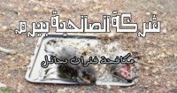 شركة مكافحة فئران بحائل