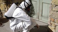 افضل شركة رش دفان بتبوك