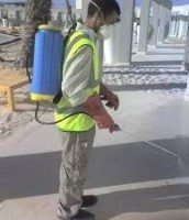 افضل شركة رش مبيدات بتبوك