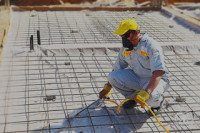 شركات مكافحة النمل الابيض بتبوك