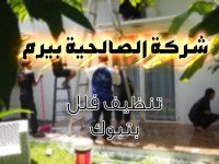 شركة تنظيف فلل بتبوك