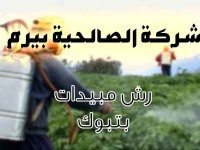 شركة رش مبيدات بتبوك