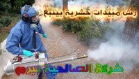 شركة رش مبيدات حشرية بينبع