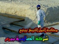 شركة مكافحة النمل الابيض بينبع