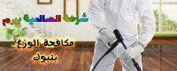 شركة مكافحة الوزغ بتبوك
