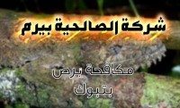 شركة مكافحة برص بتبوك