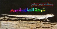 شركة مكافحة برص بينبع