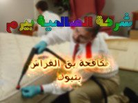 شركة مكافحة بق الفراش بتبوك