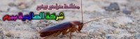 شركة مكافحة صراصير بينبع