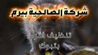 شركة مكافحة فئران بتبوك