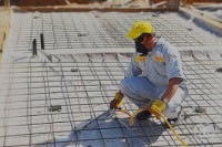 شركات مكافحة النمل الابيض بضرما