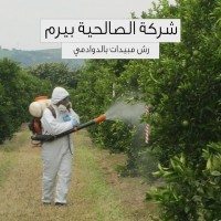 شركة رش مبيدات بالدوادمي