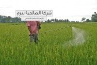 شركة رش مبيدات حشرية بالدوادمي