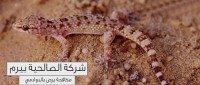 شركة مكافحة برص الدوادمي