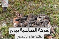 شركة مكافحة قوراض بالدوادمي