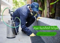 شركة رش مبيدات حشرية بشقراء
