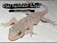 شركة مكافحة البرص بمرات