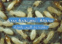 مكافحة النمل الابيض بشقراء