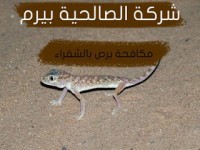 مكافحة برص بشقراء