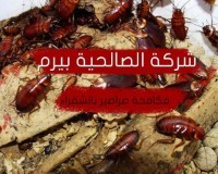 مكافحة صراصير بشقراء