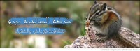 مكافحة قوراض بشقراء
