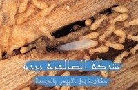 شركة مكافحة نمل الابيض بالمجمعة