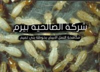مكافحة النمل الابيض بحوطة بني تميم