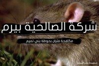 مكافحة فئران بحوطة بني تميم