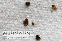 شركة مكافحة بق الفراش بالدوادمي