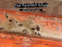 مكافحة بق الفراش بمرات