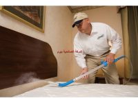 شركة مكافحة العته بالمذنب