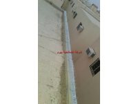 شركة مكافحة الحمام بالمذنب