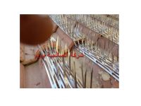 شركة مكافحة الحمام بالمذنب