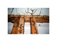 شركة رش دفان بالمذنب