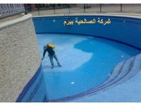 شركة صيانة مسابح بالمذنب